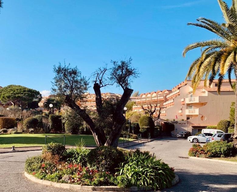 Antibes Secured Parc Velusine With Private Parking, Terrace, Pools And Tennis Courts. Экстерьер фото